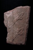 MHG34338_1.jpg