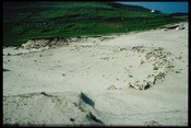 NC15NE0004 - Structures, Balchrick 1.jpg