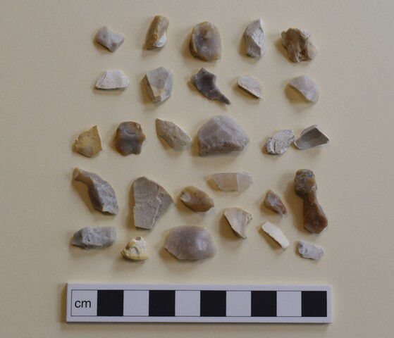 EHG5504_10.JPG