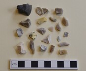 EHG5504_11.JPG