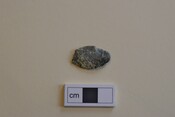EHG5504_08.JPG