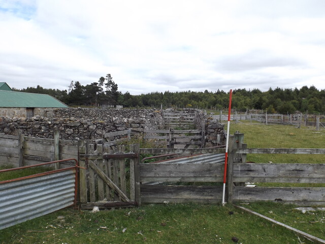 EHG5580_31.JPG