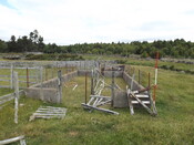 EHG5580_36.JPG