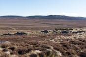 MHG62523_01.jpg