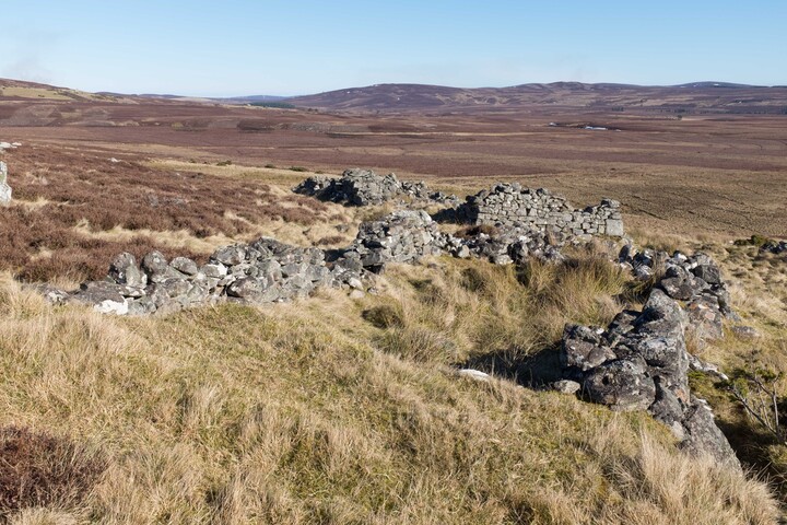 MHG62523_02.jpg