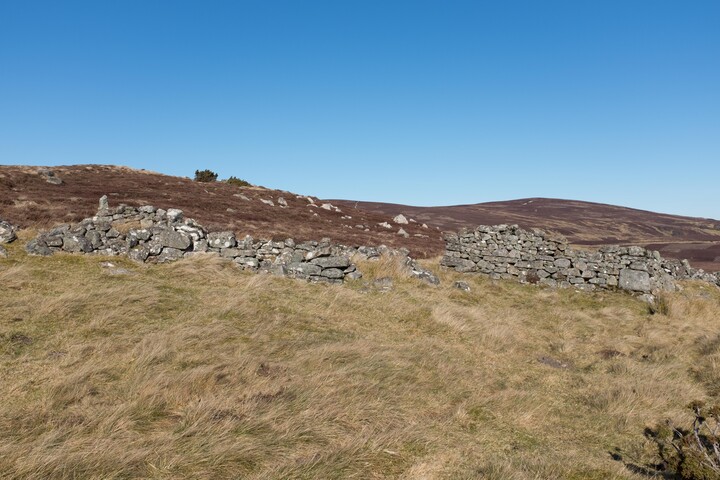 MHG62523_03.jpg