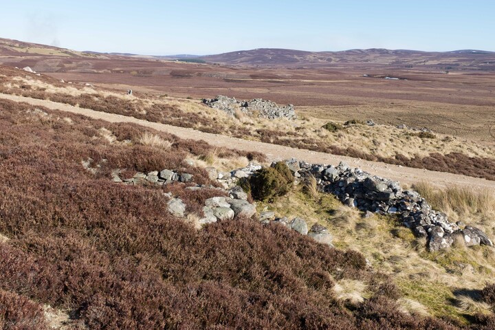 MHG62523_04.jpg