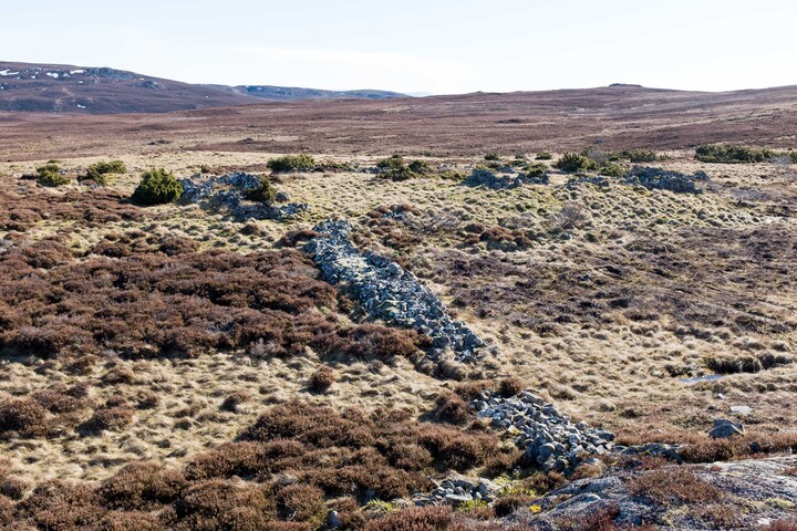MHG62524_01.jpg