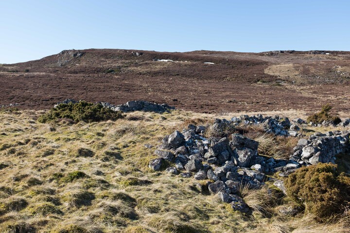 MHG62524_02.jpg