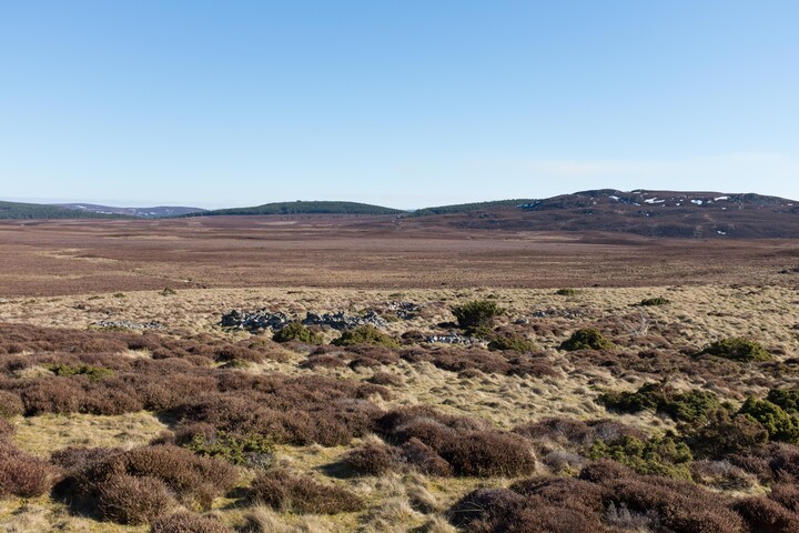 MHG62524_03.jpg