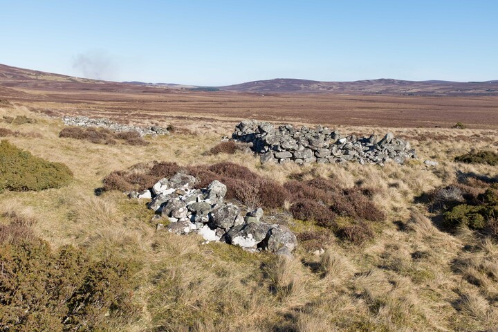 MHG62524_05.jpg