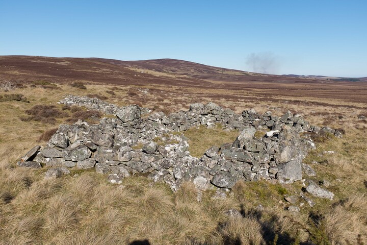 MHG62524_06.jpg