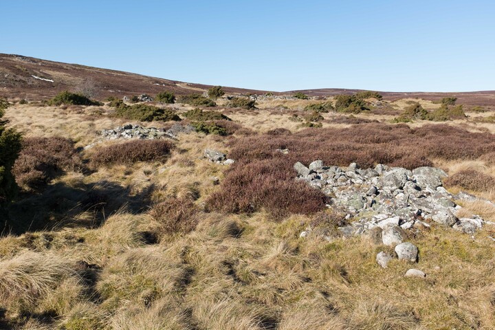 MHG62524_07.jpg