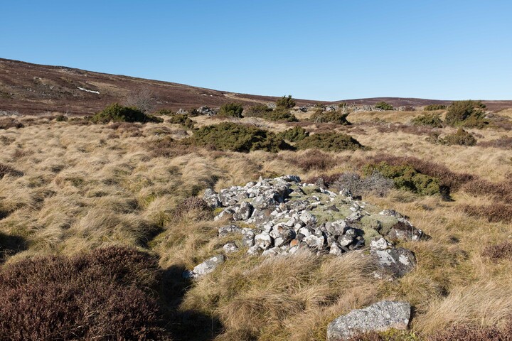 MHG62524_08.jpg
