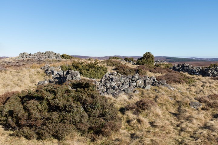 MHG62524_10.jpg