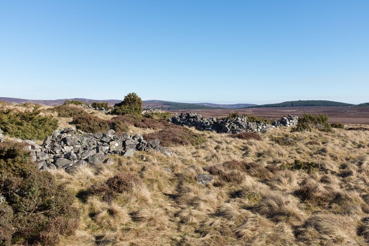 MHG62524_11.jpg