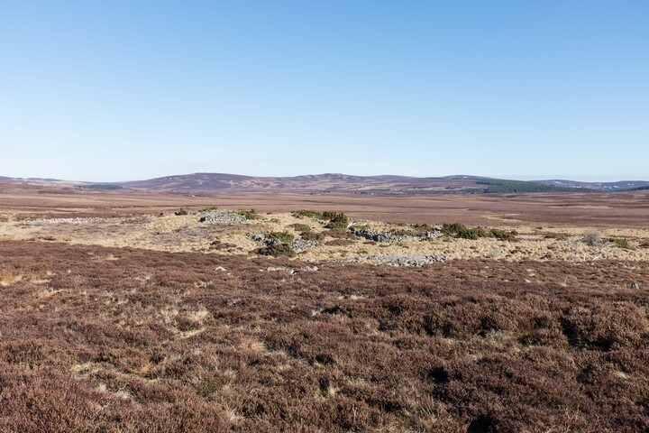 MHG62524_12.jpg