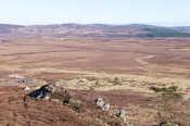 MHG62524_13.jpg