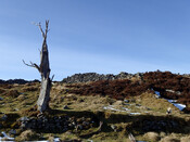MHG62525_02.jpg