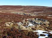 MHG62525_04.jpg
