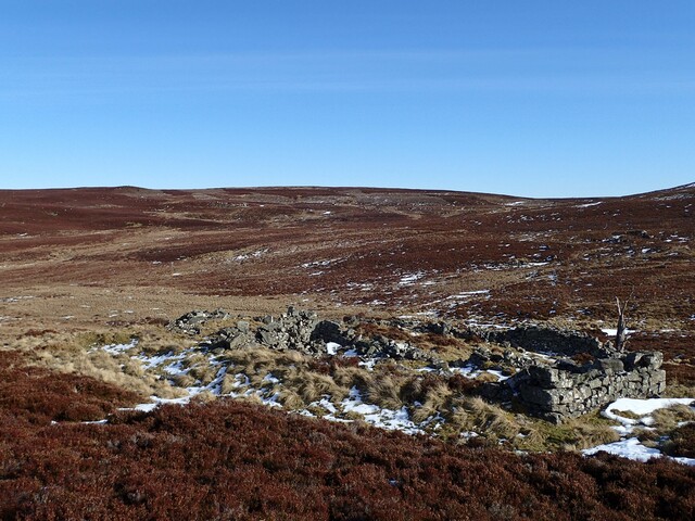 MHG62525_05.jpg