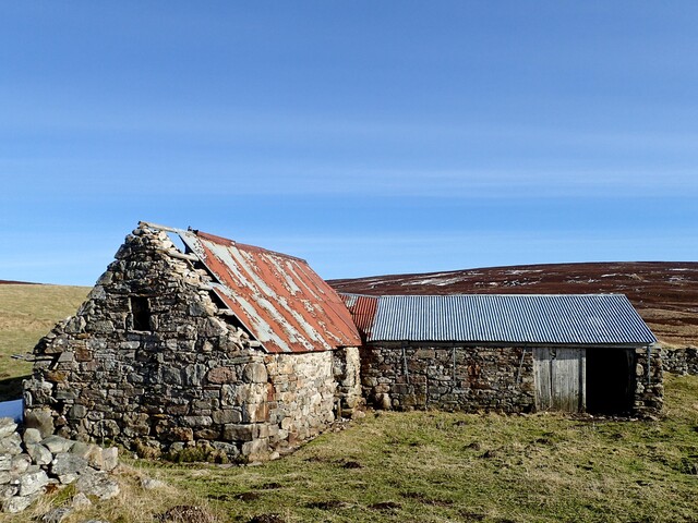 MHG62531_10.jpg