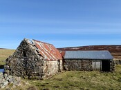 MHG62531_10.jpg