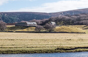 MHG62533_04.jpg