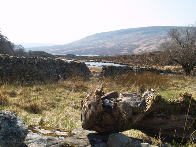 239437 927913 - S'ern section of Enc to NW of f'stead AJP_02.JPG