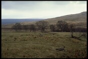 NC40SE0002 - Broch, Achness House.jpg