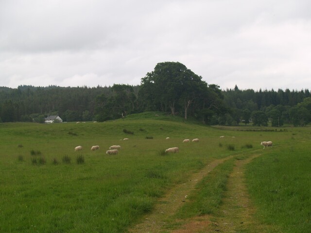 NC40SE0002 - Broch, Rosehall 1.JPG