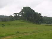 NC40SE0002 - Broch, Rosehall 2.JPG