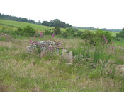 MHG50390_01.jpg