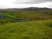 EHG5643_01.JPG