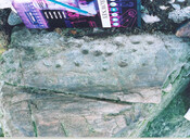 NC40SE0003.jpg