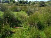 EHG5643_24.JPG