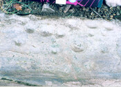 NC40SE0003-2.jpg