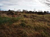 EHG5635_03.JPG