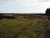EHG5635_05.JPG