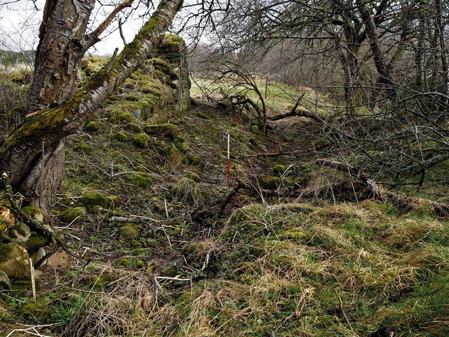 EHG5635_12.JPG
