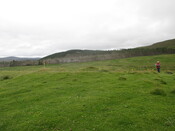 MHG62582_01.JPG