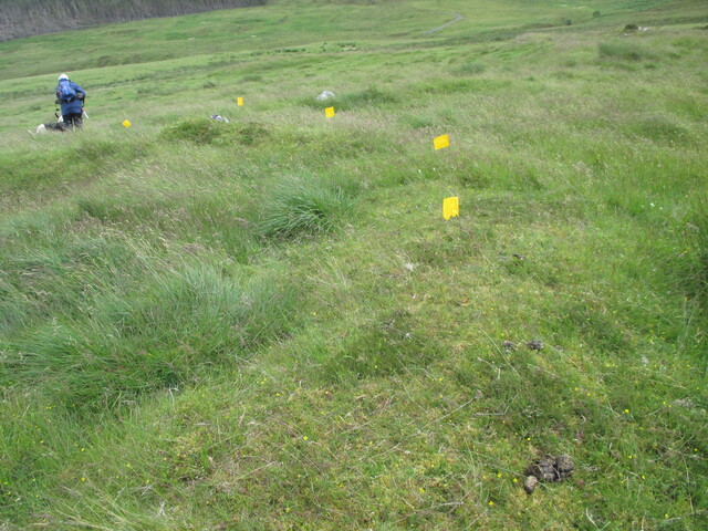 MHG62583_03.JPG