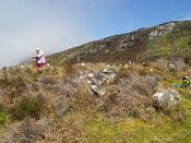 MHG62588_03.JPG
