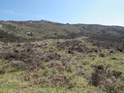MHG62588_04.JPG