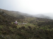 MHG62589_04.JPG