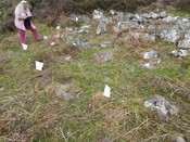 MHG62589_05.JPG