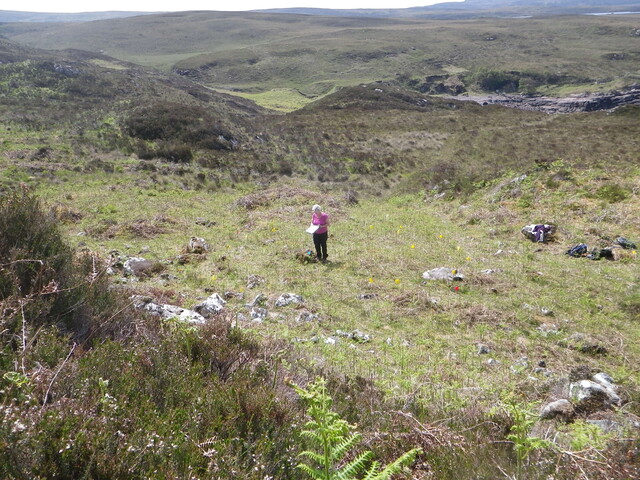 MHG62590_01.JPG