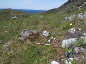 MHG62590_02.JPG