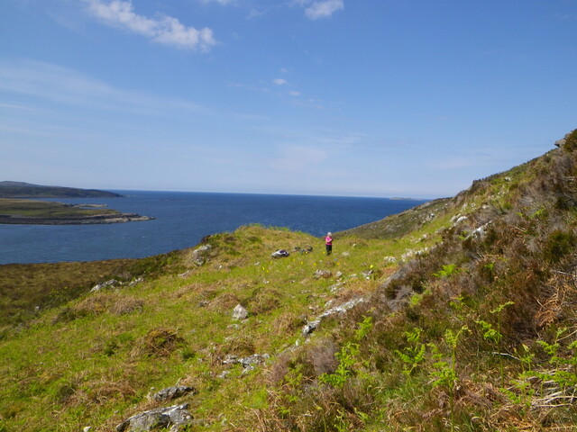 MHG62590_03.JPG