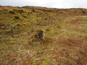 EHG5806_04.JPG